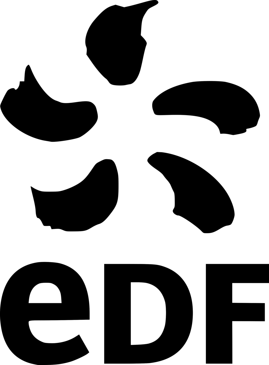 edf-VIRAJ-Logo